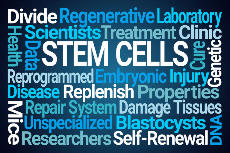 Can Stem Cells Reverse Aging Dan Hammer Health Ltd